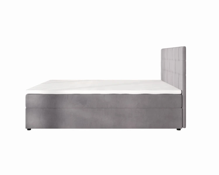 Indu Conti Grey Bok.jpg