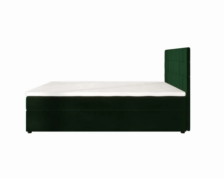 Indu Conti Dark Green Bok.jpg