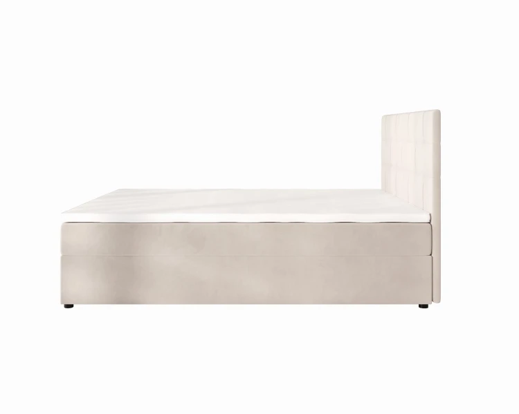 Indu Conti Beige Bok.jpg