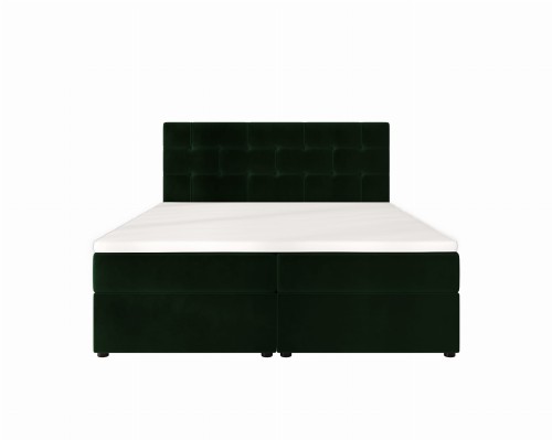 Indu Conti Dark Green Przód.jpg