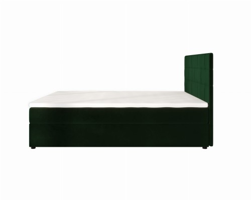 Indu Conti Dark Green Bok.jpg