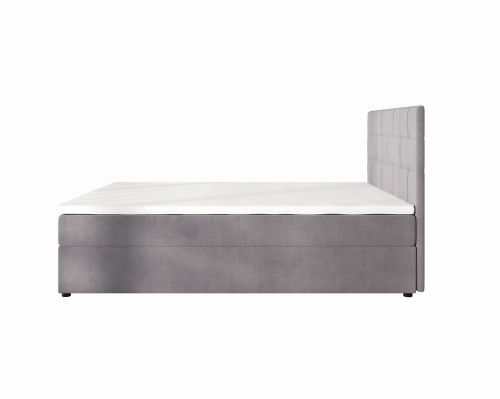 Indu Conti Grey Bok.jpg