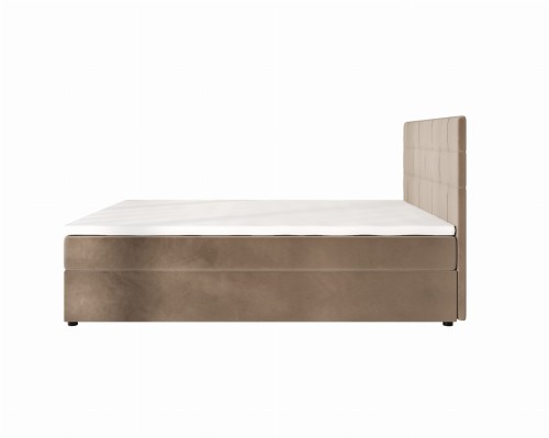 Indu Conti Brown Bok.jpg