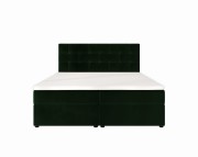 Indu Conti Dark Green Przód.jpg