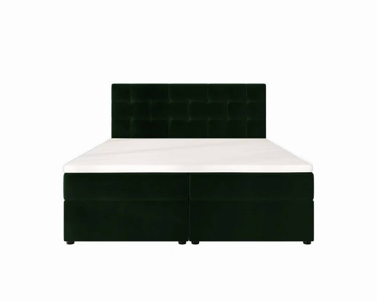Indu Conti Dark Green Przód.jpg
